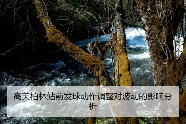 高芙柏林站前发球动作调整对波动的影响分析