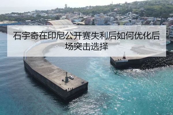 石宇奇在印尼公开赛失利后如何优化后场突击选择