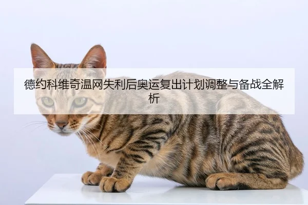 德约科维奇温网失利后奥运复出计划调整与备战全解析