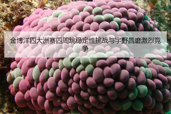 jin-bo-yang-si-da-zhou-sai-si-zhou-tiao-wen-ding-xing-tiao-zhan-yu-yu-ye-chang-mo-ji-lie-jing-zheng-2-109.jpg