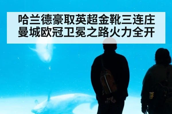 哈兰德豪取英超金靴三连庄 曼城欧冠卫冕之路火力全开